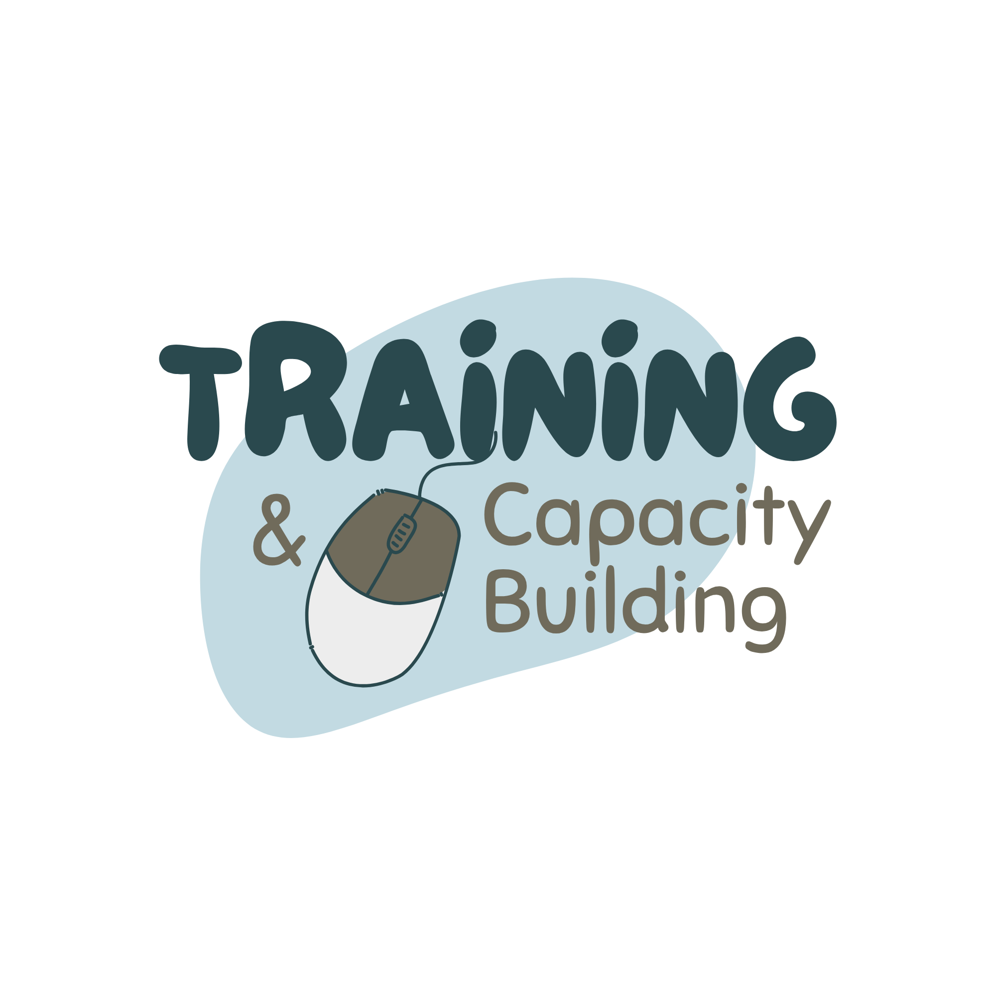 IT Team Capacity Building Program